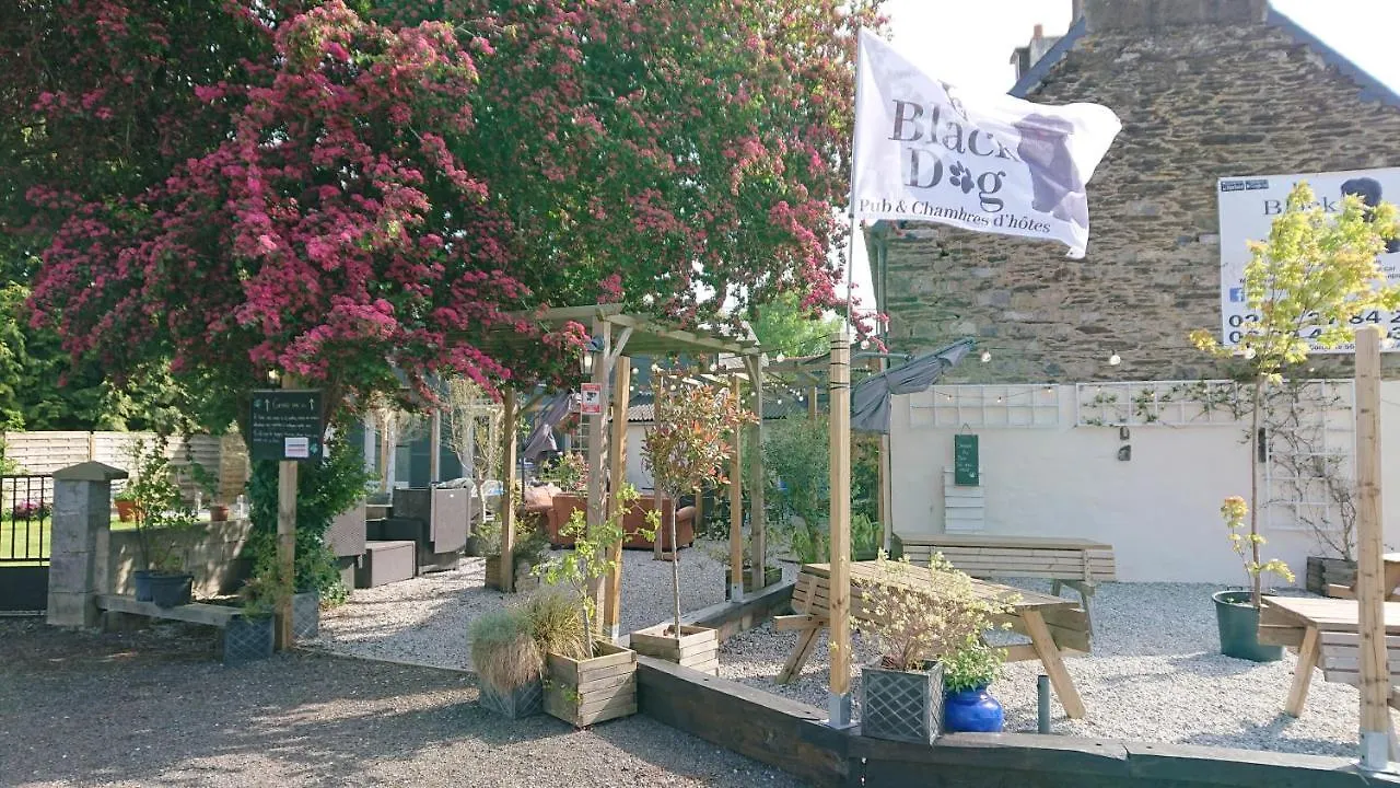 Mini-hôtel Le Black Dog Pub Saint-Aignan