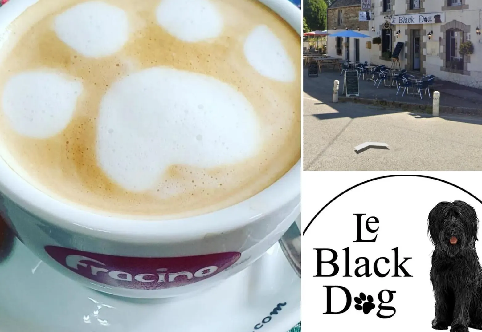 Mini-hôtel Le Black Dog Pub Saint-Aignan